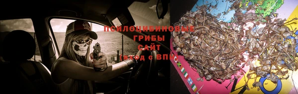 спиды Медвежьегорск