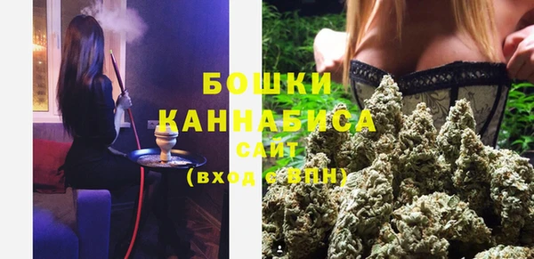 мдпв Медногорск