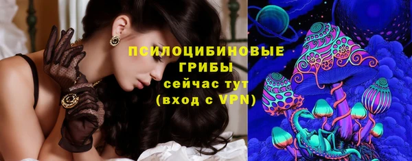 спиды Медвежьегорск