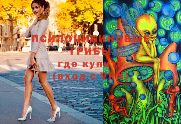 мдпв Медногорск