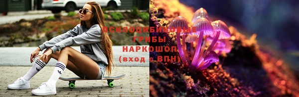 спиды Медвежьегорск